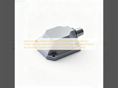 Tampa final selada do motor à prova de explosão IP66 Grau de proteção Tampa final de aço inoxidável Acessórios do motor à prova de poeira e à prova d'água Componentes à prova de explosão personalizados